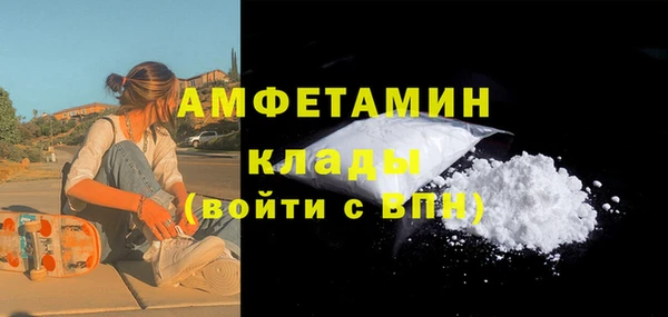 ПСИЛОЦИБИНОВЫЕ ГРИБЫ Осинники