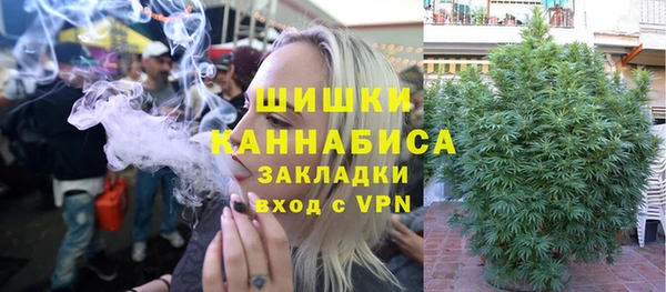 ПСИЛОЦИБИНОВЫЕ ГРИБЫ Осинники